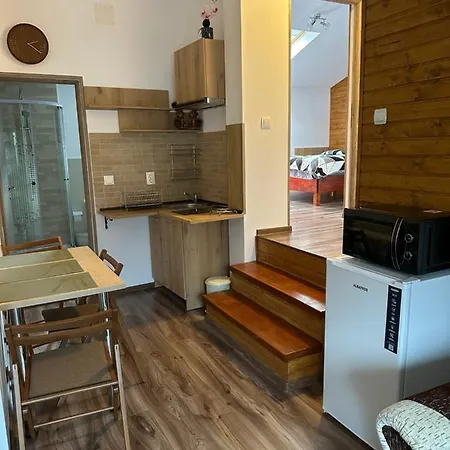 Casa Rares Busteni