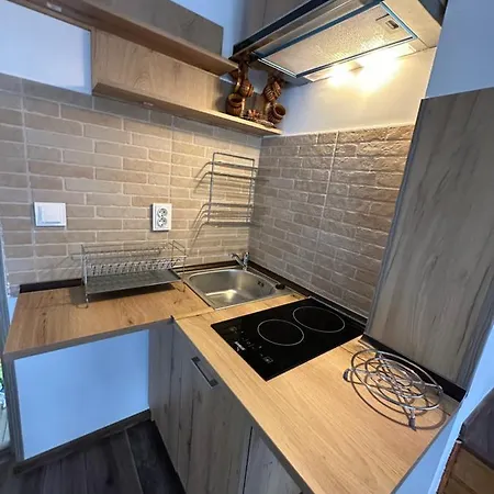 Casa Rares Busteni